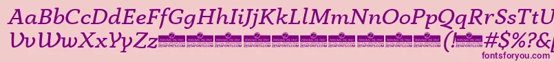 AnaphoraBookItalicTrial Font – Purple Fonts on Pink Background