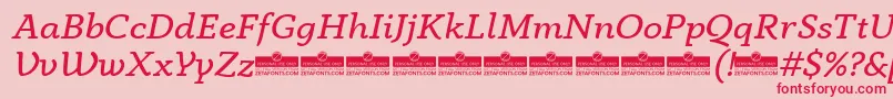 AnaphoraBookItalicTrial Font – Red Fonts on Pink Background