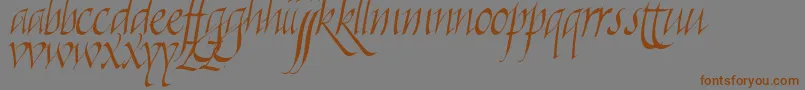 Killigra Font – Brown Fonts on Gray Background