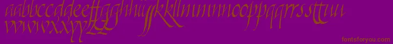 Killigra-Schriftart – Braune Schriften auf violettem Hintergrund