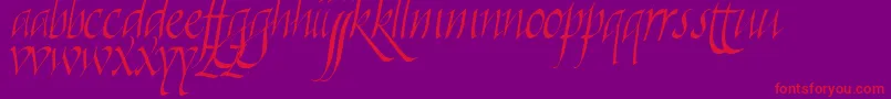 Killigra-Schriftart – Rote Schriften auf violettem Hintergrund