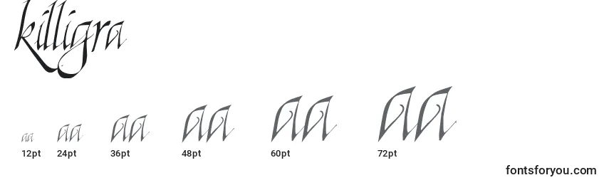 Killigra Font Sizes