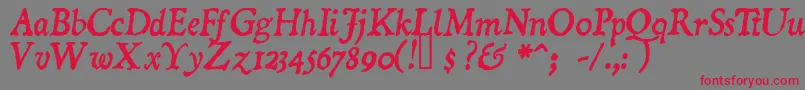 DominicanItalic Font – Red Fonts on Gray Background