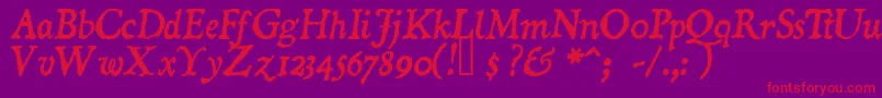 DominicanItalic Font – Red Fonts on Purple Background