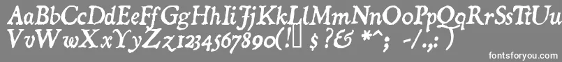 DominicanItalic Font – White Fonts on Gray Background