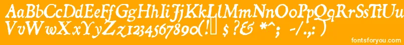 DominicanItalic Font – White Fonts on Orange Background