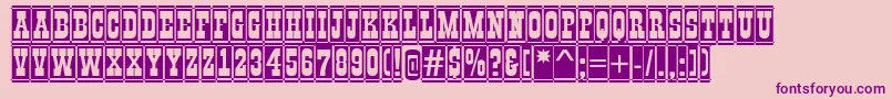 AGildiadccmBold Font – Purple Fonts on Pink Background