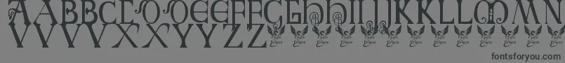 Police BritishBlockFlourish10thC – polices noires sur fond gris