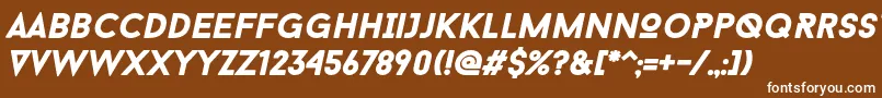 BaronNeueBlackItalic Font – White Fonts on Brown Background