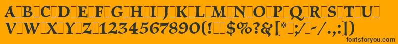 PragueLetPlain.1.0 Font – Black Fonts on Orange Background