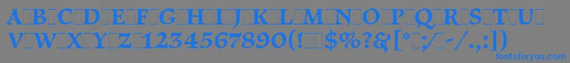 PragueLetPlain.1.0 Font – Blue Fonts on Gray Background