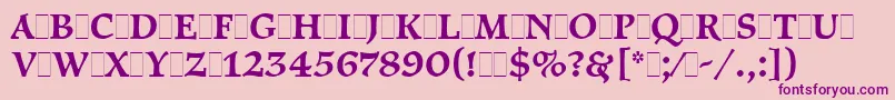 PragueLetPlain.1.0 Font – Purple Fonts on Pink Background