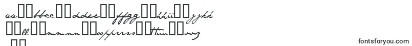 Santo Font – Latvian Fonts