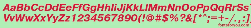 PragmaticacfttBolditalic Font – Red Fonts on Green Background