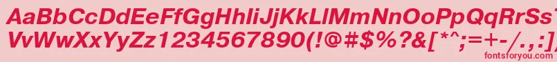 PragmaticacfttBolditalic Font – Red Fonts on Pink Background