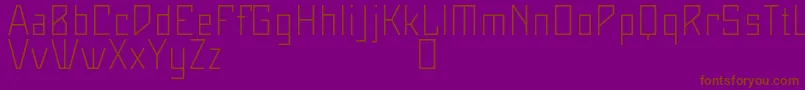 Maiersneuenr8ProLeicht Font – Brown Fonts on Purple Background