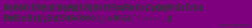 GotenburgABold Font – Black Fonts on Purple Background