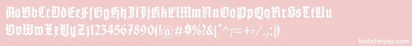 GotenburgABold Font – White Fonts on Pink Background