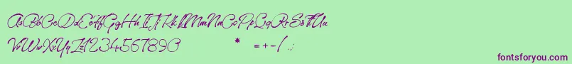 SanctuaryPlayground Font – Purple Fonts on Green Background