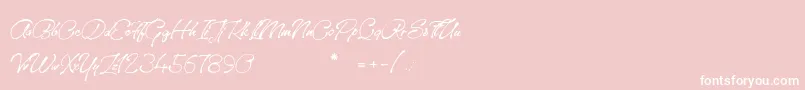 SanctuaryPlayground Font – White Fonts on Pink Background