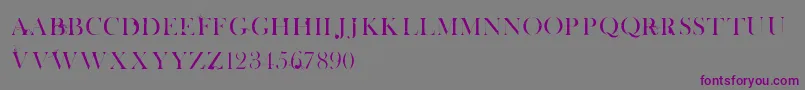 フォントWhiteTieAffair – 紫色のフォント、灰色の背景