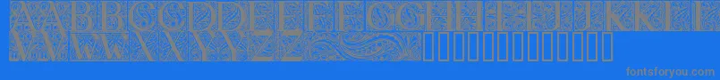BehrensAntiquaInitialen Font – Gray Fonts on Blue Background