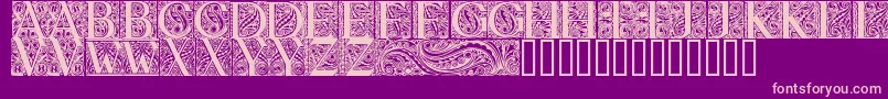 BehrensAntiquaInitialen Font – Pink Fonts on Purple Background