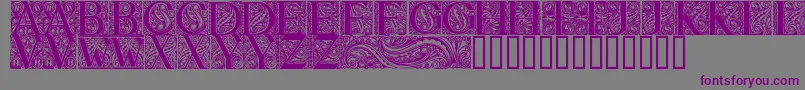 BehrensAntiquaInitialen Font – Purple Fonts on Gray Background