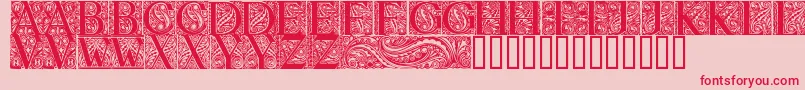 BehrensAntiquaInitialen Font – Red Fonts on Pink Background