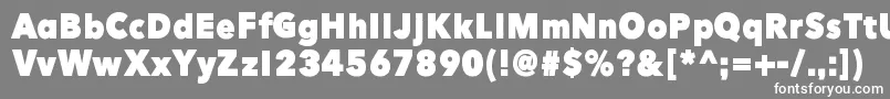 HereJustNowBlack Font – White Fonts on Gray Background