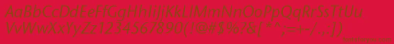 StoneSansItcTtMediumitalic Font – Brown Fonts on Red Background