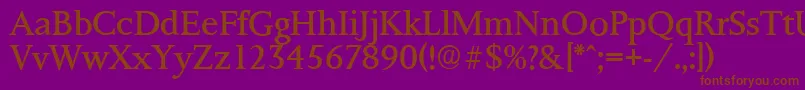 PalermoserialRegular Font – Brown Fonts on Purple Background
