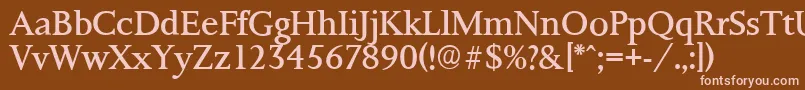 PalermoserialRegular Font – Pink Fonts on Brown Background