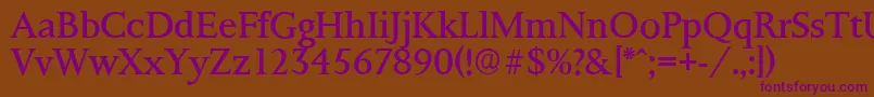 PalermoserialRegular Font – Purple Fonts on Brown Background