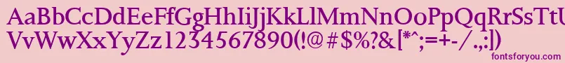PalermoserialRegular Font – Purple Fonts on Pink Background