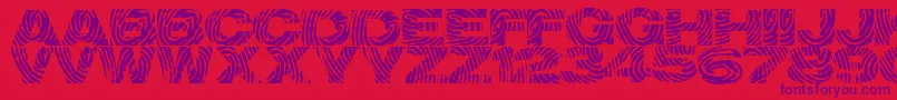 Identify Font – Purple Fonts on Red Background