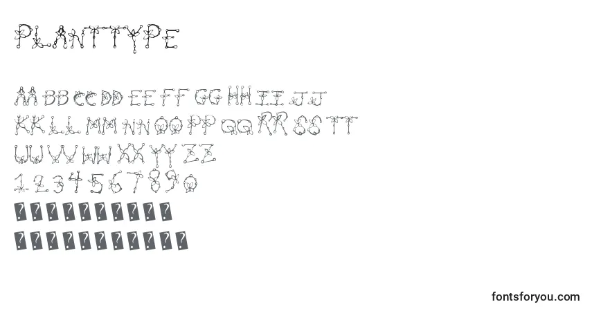 Czcionka Planttype – alfabet, cyfry, specjalne znaki