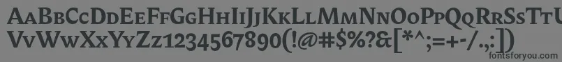 BiblonitcsmallcapsBold Font – Black Fonts on Gray Background