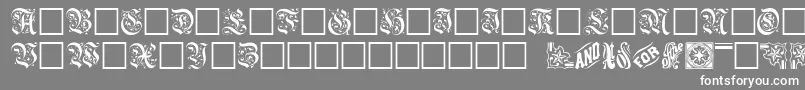 フォントGriffdinshi – 灰色の背景に白い文字