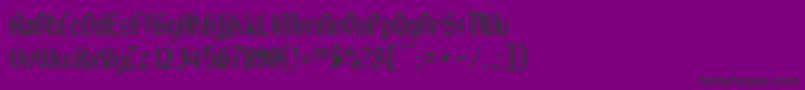 LeebeeSchwarz Font – Black Fonts on Purple Background