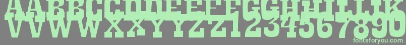 Czcionka LaTequila – zielone czcionki na szarym tle