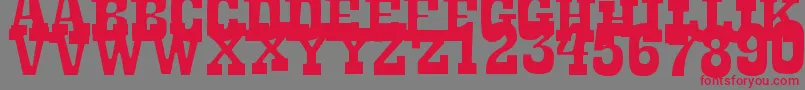 LaTequila Font – Red Fonts on Gray Background
