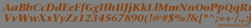 MesouranSerifBlackSsiBoldItalic Font – Brown Fonts on Gray Background