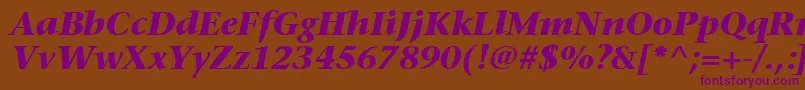 MesouranSerifBlackSsiBoldItalic Font – Purple Fonts on Brown Background