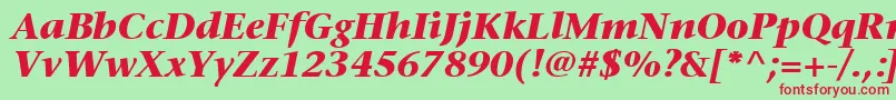 MesouranSerifBlackSsiBoldItalic Font – Red Fonts on Green Background