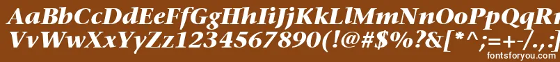 MesouranSerifBlackSsiBoldItalic Font – White Fonts on Brown Background