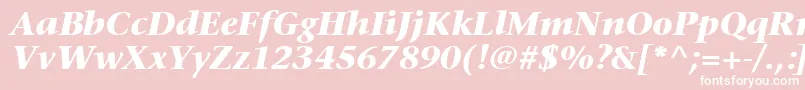 MesouranSerifBlackSsiBoldItalic Font – White Fonts on Pink Background
