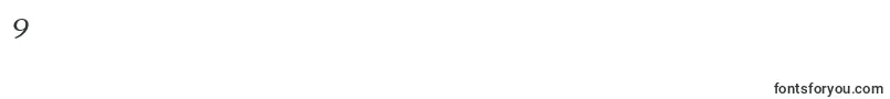CompatilExquisitLtComItalicSmallCaps Font – Fonts for Digit 9