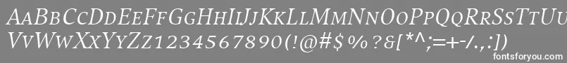 CompatilExquisitLtComItalicSmallCaps Font – White Fonts on Gray Background