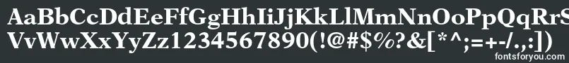 フォントNewasterltstdBold – 黒い背景に白い文字